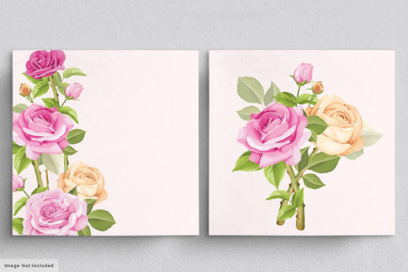 Download Beautiful Roses Hand Drawn Illustrations - Hand drawn Collection
