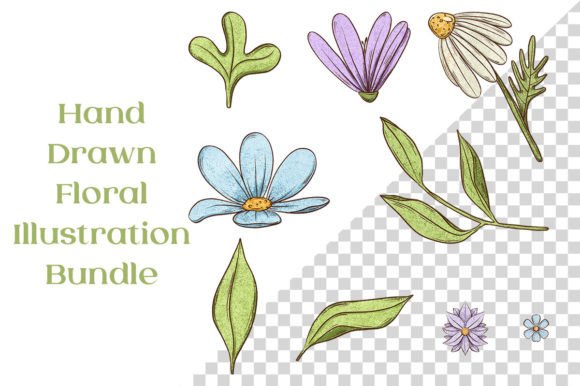 Download Cute 9 Floral Hand Drawn Illustrations - Hand drawn Collection